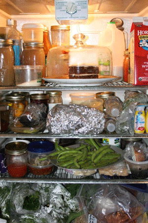 Kitchen Ecosystem refrigerator time-lapse